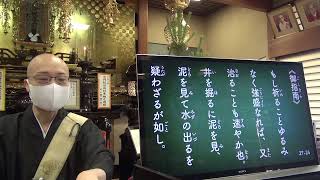 令和３年７月１９日の朝参詣【本門佛立宗・隆宣寺】