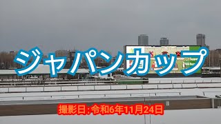 【競馬/Horse Racing】ジャパンカップ2024 in 札幌競馬場/The Japan Cup 2024 in Sapporo Racecourse