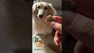 汪事如意 寵物肉粽：亞洲名品粽禮盒