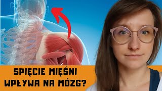 NAPIĘCIA w ciele – PRZYCZYNY, SKUTKI. JAK ROZLUŹNIĆ spięte mięśnie pleców, szyi itd. | O, choroba!