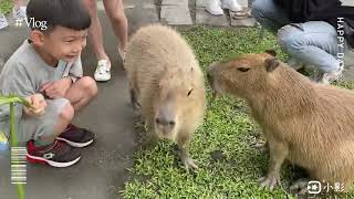 花蓮丘丘森旅小旅行