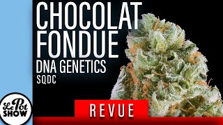 revue cannabis : Chocolat Fondue / DNA Genetics #SQDC