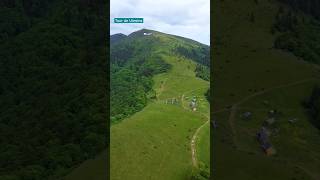 Полонина Менчул ⛰️ Традиційне високогірне фермерство🐄🌼 та історичне господарство. #ukraine #travel