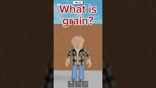 Building TIP! what is grain?! #lumbertycoon2 #grain