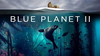 Blue Planet II - Trailer (Rescore)