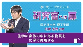 同志社大学ハリス理化学研究所『研究室への扉』（京田辺キャンパス）：理工学部 機能分子・生命化学科 北岸 宏亮 （キタギシ　ヒロアキ）教授