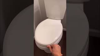 Fixing Loose Toilet Seat!