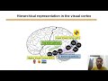 Modeling Image Sharpening in Human Visual Cortex Using Computer Vision - Neuromatch Conference 4