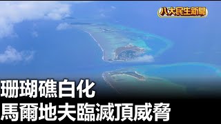 珊瑚礁白化 馬爾地夫臨滅頂威脅 |【民生八方事】| 2025010409 @gtvnews27