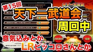 【ドッカンバトル#31】第15回天下一武道会！経過報告とSSR確定ガシャも！【Dragon Ball Dokkan Battle】（概要欄に訂正あります）