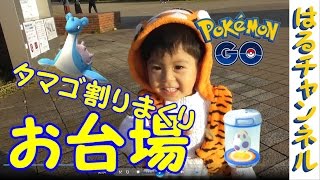 【ポケモンGO】ハロウィンイベントお台場で10kタマゴ4個ラプラス出るか！1歳児の【検証してみた】