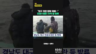 경남도 대구 인공수정란 등 방류 / KNN