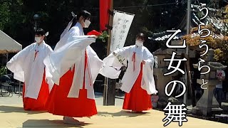 豊栄の舞（乙女舞）　三谷八幡宮春祭り　早乙女会