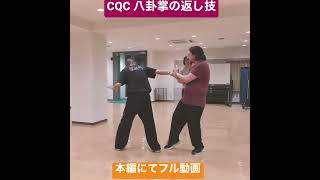 CQC 八卦掌の返し技 #カンフー #武術 #CQC #接近戦 #武術太極拳 #八卦掌 #bagua #kungfu #奈良 #naist #カンフークラブ #奈良先端科学技術大学院大学