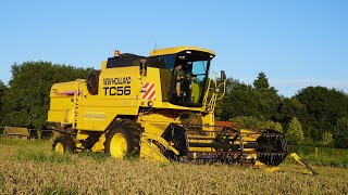 New Holland TC56 | Grain harvest | P van den Hardenberg Elspeet | Graan dorsen |  2023