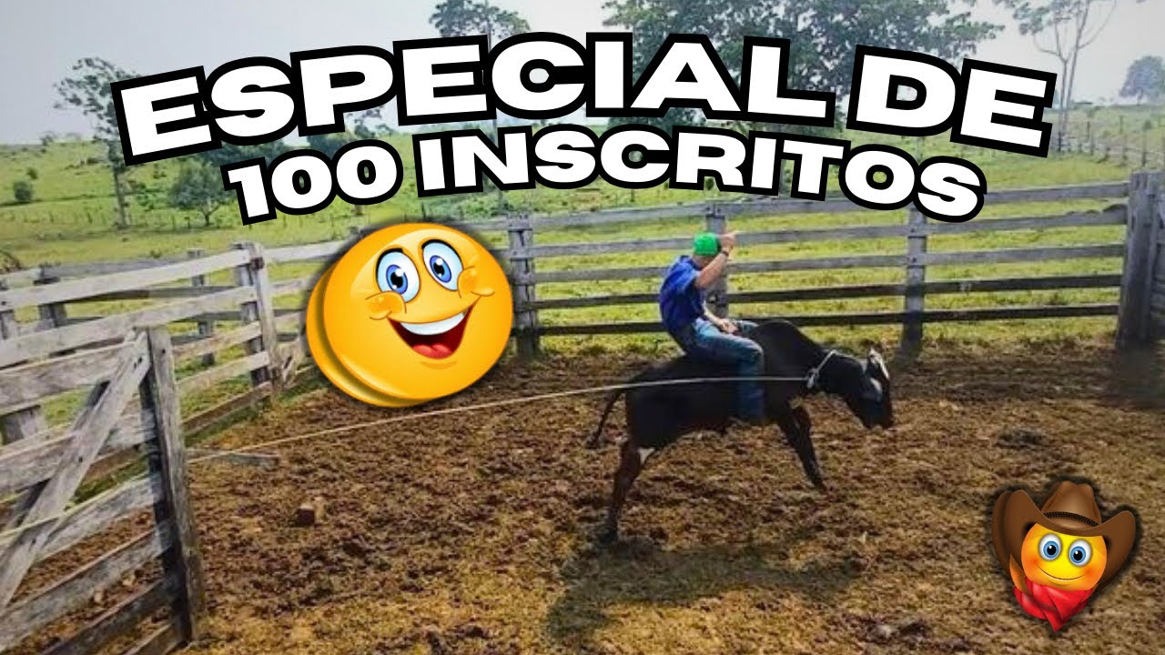 Especial De 100 Escritosёяша Youtube
