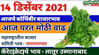 14 December | आजचे कोथिंबीर बाजार भाव | kothimbir bazar bhav | आधुनिक शेती आणि उद्योग