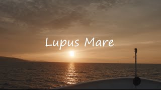 Lupus Mare Yacht - Split Rental Yacht - Croatia