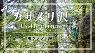 【モツランド編】カサメリ沢Collection - プラチナム、レイザーズエッジ、ジャガバター