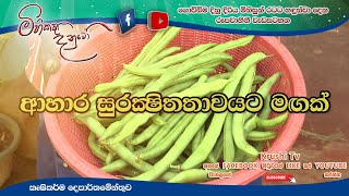 Mihikatha Dinuwo TV Program | ආහාර සුරක්ෂිතතාවයට මගක් | 2022-12-16 | Krushi Tv