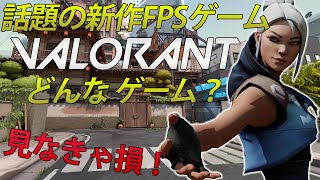 【3分でわかる！】今海外で話題の新作FPSゲームVALORANTについて簡単に解説してみた！【VALORANT】