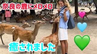 奈良の鹿にメロメロ🫎癒されました外国人観光客Nara Park🦌