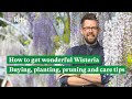 How to get wonderful Wisteria: Buying, planting, pruning and care tips | The RHS