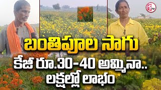 బంతిపూల సాగు..కేజీ రూ.30-40 అమ్మినా  లక్షల్లో లాభం | Marigold Flower Farming | Banthi Puvvu