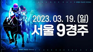 (서울) 2023.03.19 9경주 한결 회복된 모습, 다시 상승세 한강챔프! 오래 건강하자.