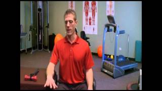 The Pronator: Forearm Pronation and Supination