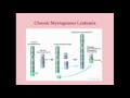 Chronic Myelogenous Leukemia - CRASH! Medical Review Series