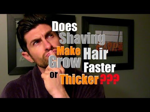 Does Shaving Make Hair Grow Back Thicker, Faster or More Coarse? Does Shaving Make Hair Grow Back Thicker, Faster or More Coarse?