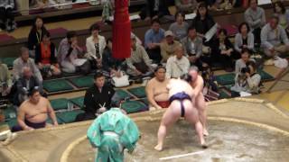 Dewahayate (4-6) - Ura (8-2) , Sumo : Natsubasho '16