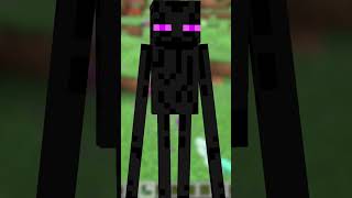 You Won't Believe what Enderman are Actually Saying!