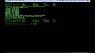 API Sandbox