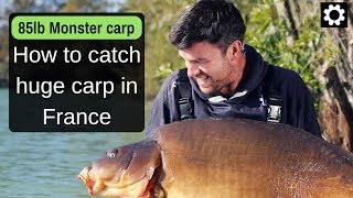 Bait, rigs, tactics for a carp holiday at Gigantica, France.