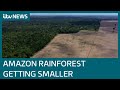 Amazon in turmoil as deforestation rages on despite coronavirus pandemic | ITV News