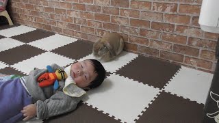 子どもが生まれたら考える知育玩具！Benesse「こどもちゃれんじbaby」を試してみる　7ヵ月号（手ざわり遊び号）