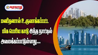 உலகளவில் மனிதனால் உருவாக்கப்பட்ட மிக பெரிய  காடு இந்த நாட்டில் அமைக்கப்பட்டுள்ளது