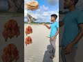 10 September 2024 spining chicken dance to, ruti,paisa, golgappe,,somosa and short magic VFX video,