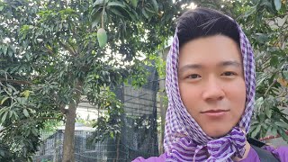 Tiến Đoàn Vlog Bỏ Trốn Về Bến Gấp