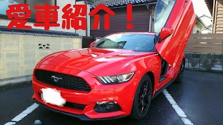 愛車紹介！15yマスタング！ ford mustang in japan