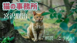 猫の事務所　作：宮沢賢治　朗読：こうえい