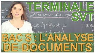 L'épreuve de SVT au bac S : l'analyse de document - SVT - Terminale - Les Bons Profs
