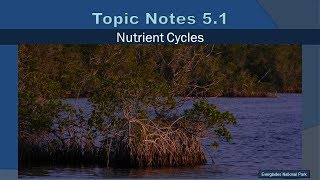 Topic Notes 5.1: Nutrient Cycles 2019