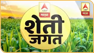 Yavatmal Farmer | यवतमाळ मधील दारव्ह्यातील बैलाचा डावरा बनला कुतूहलाचा विषय |ABP Majha