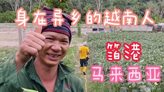 在異鄉生活的越南人 / Vietnamese live in Malaysia