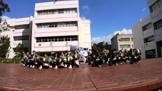 大阪芸術大学よさこい×結　2014「心妖」　大阪芸術大学学園祭