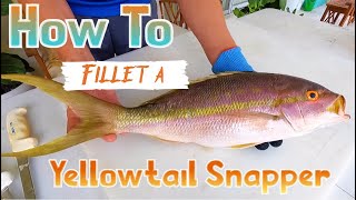 Filleting Fish With A Sea Grant Agent: Yellowtail Snapper