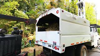 Epic Limb Cutting and Wood Chipping Rig